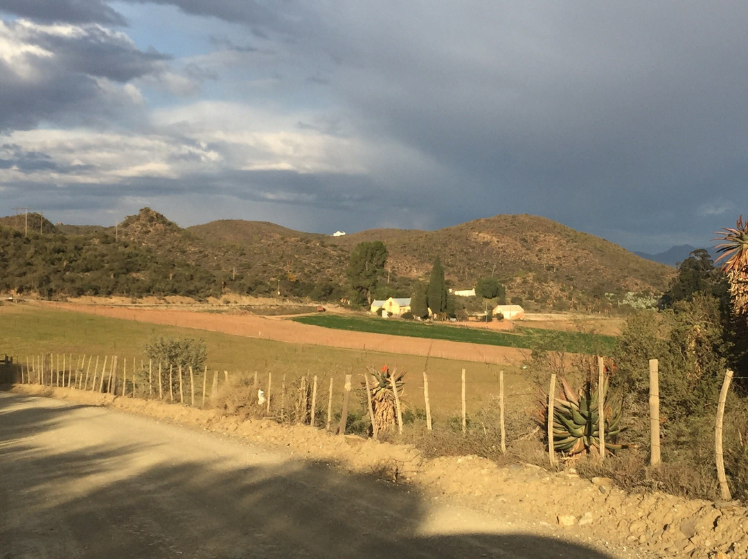 Aleandrii Farmstay