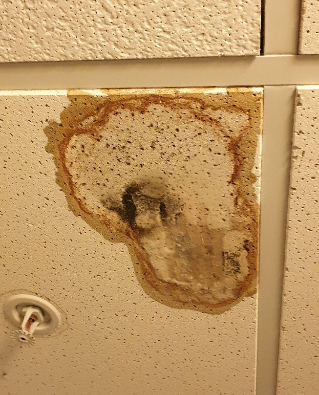 Sleep Inn & Suites Monticello主图