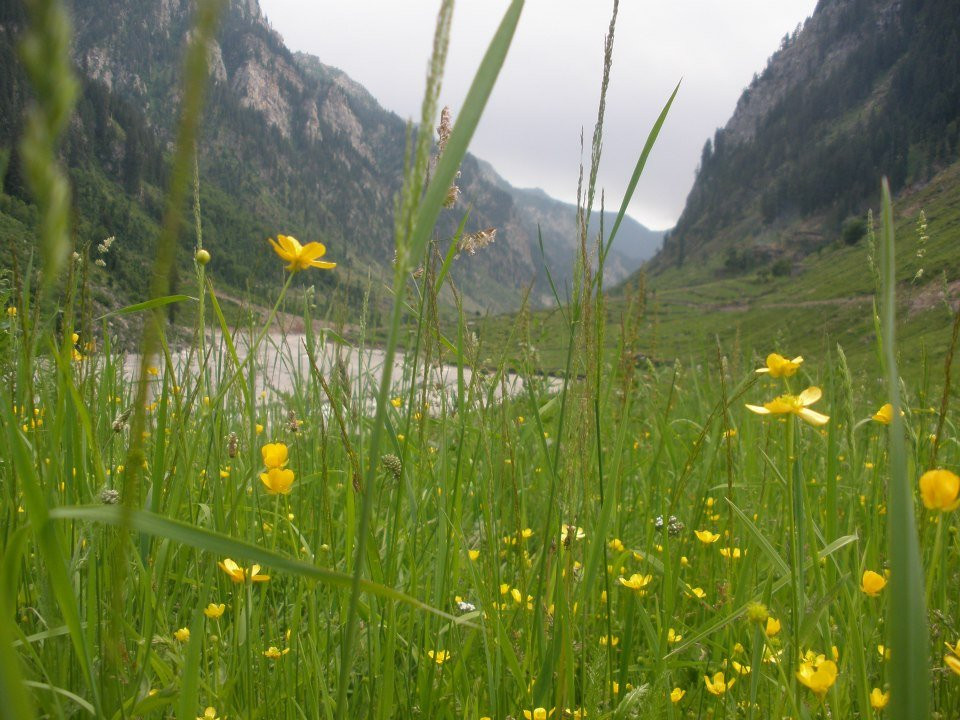 Shounter Valley-Kel必去景点