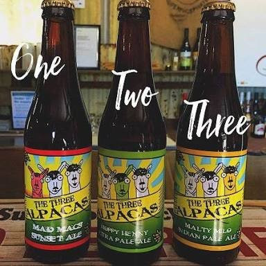 Bandicoot Motor Inn主图