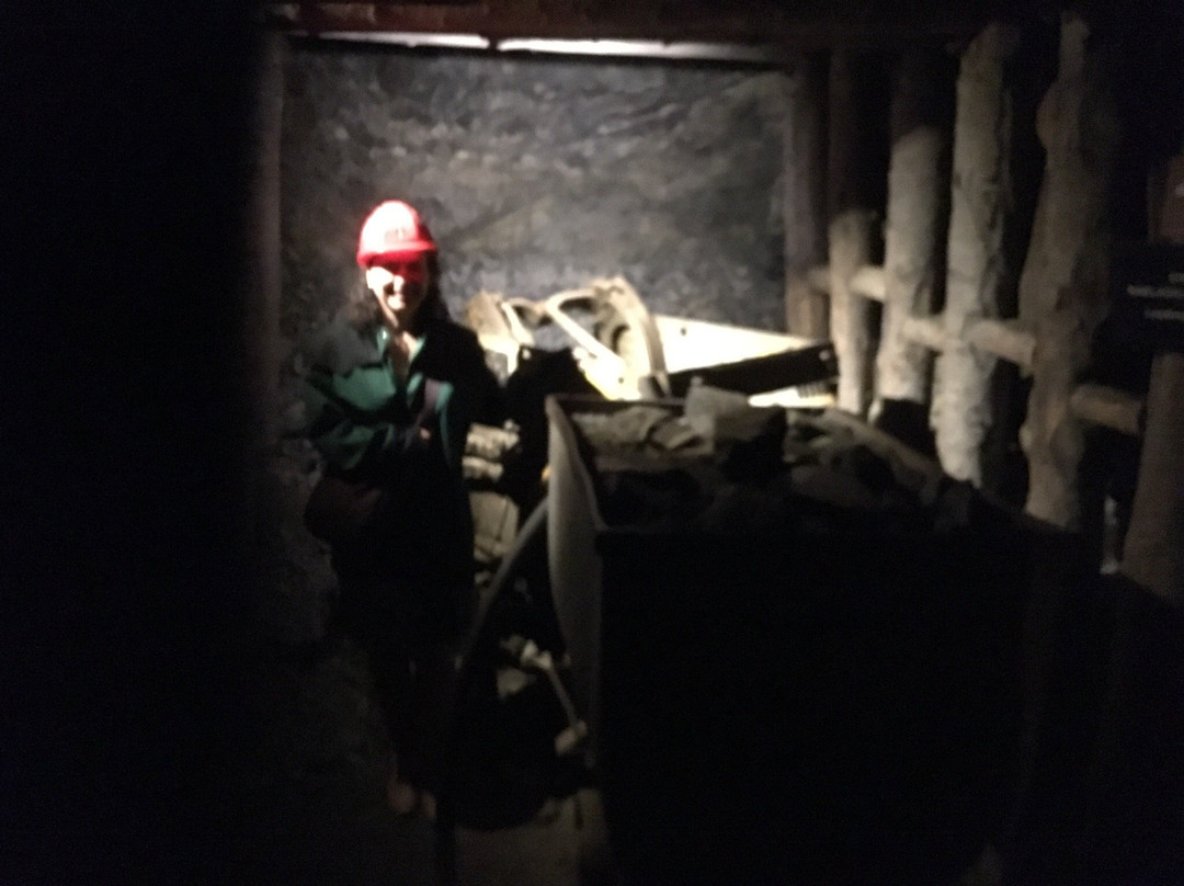 Miner's House-伊德里亚必去景点