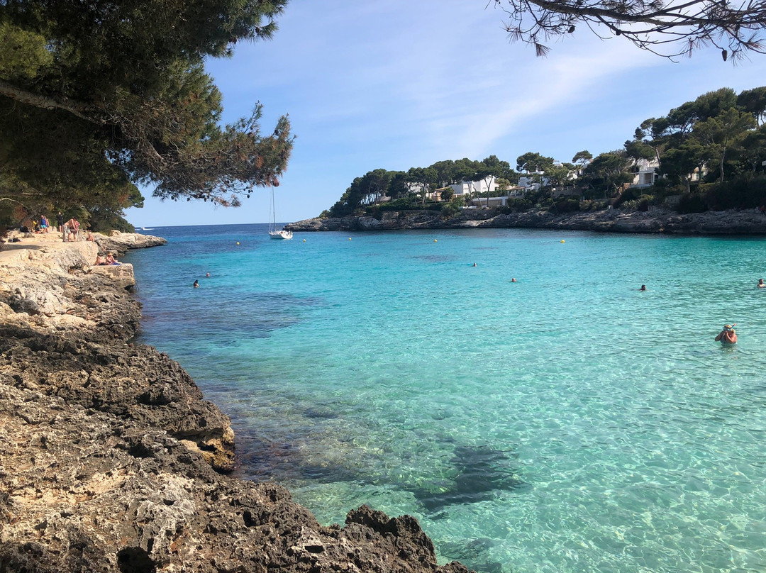 Plage Cala D'or景点图片