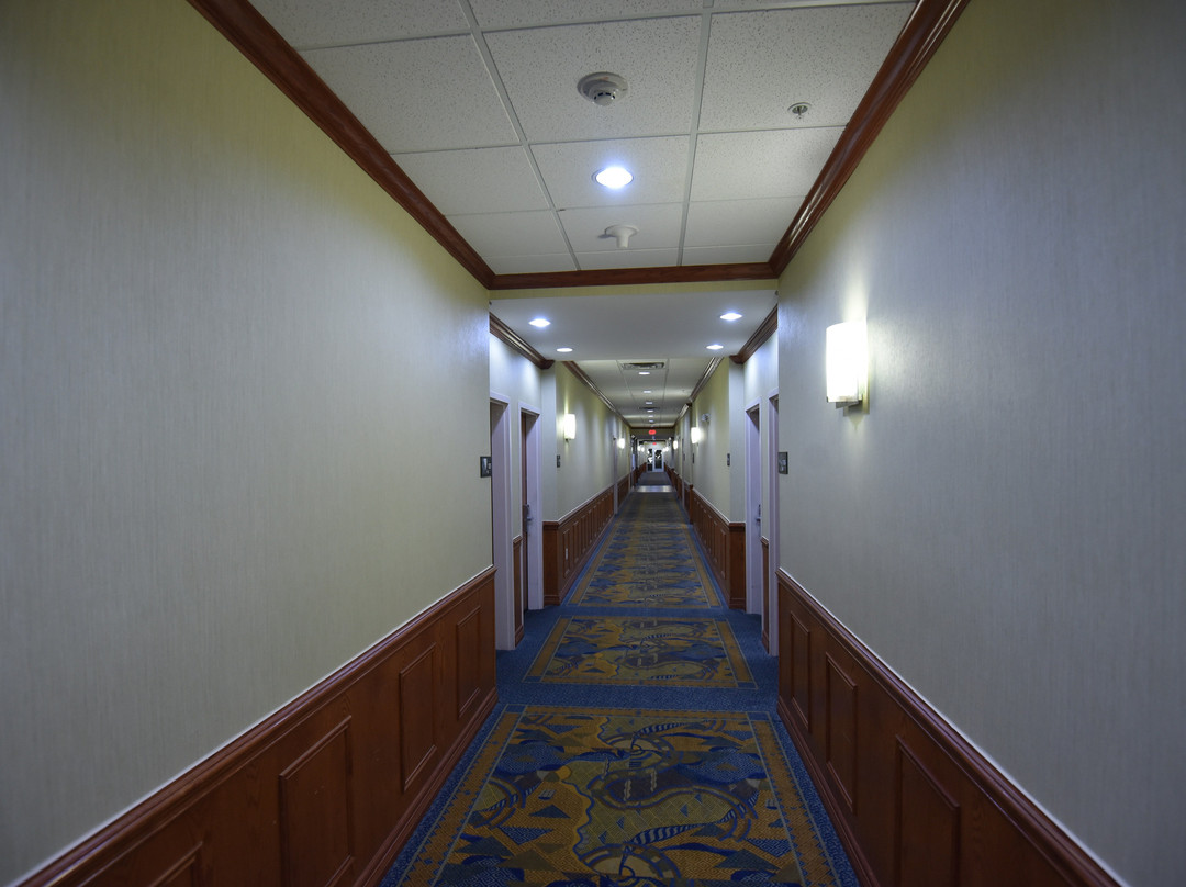 爱丽丝希尔顿恒庭酒店主图