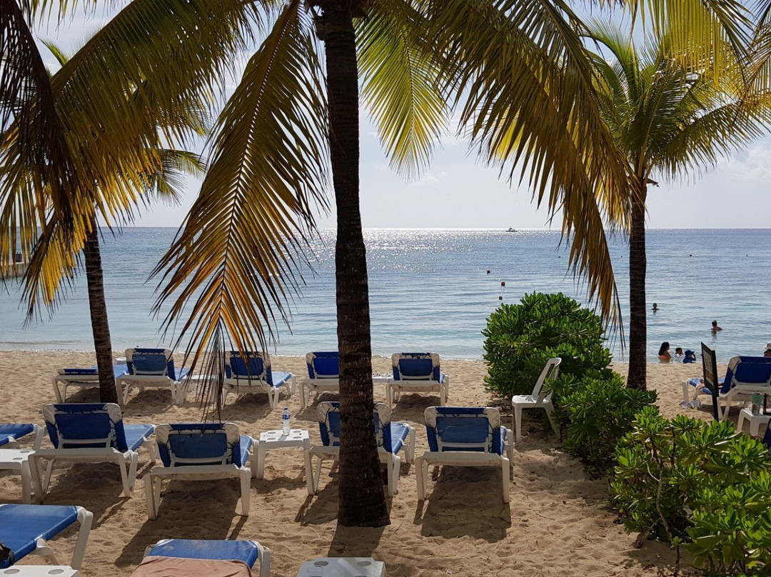 Allegro Cozumel Resort Day Pass景点图片