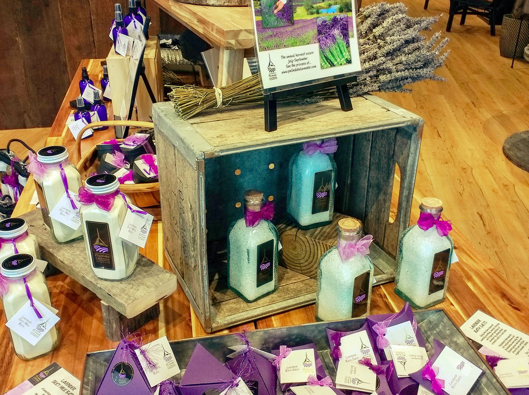 Pelindaba Lavender Savannah-萨凡纳必去景点