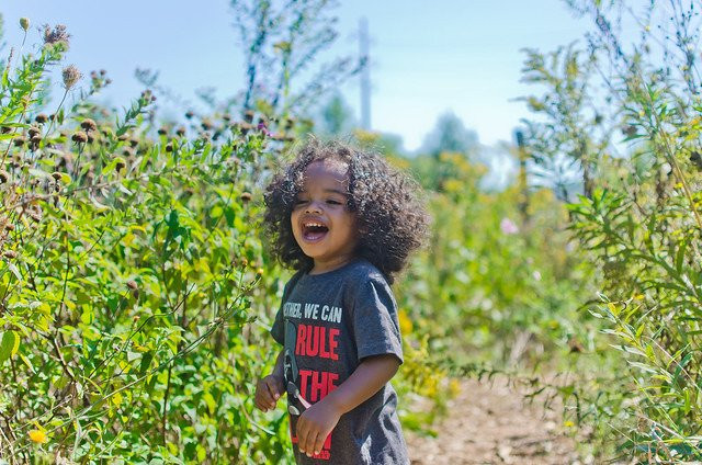 Ithaca Children's Garden-伊萨卡必去景点