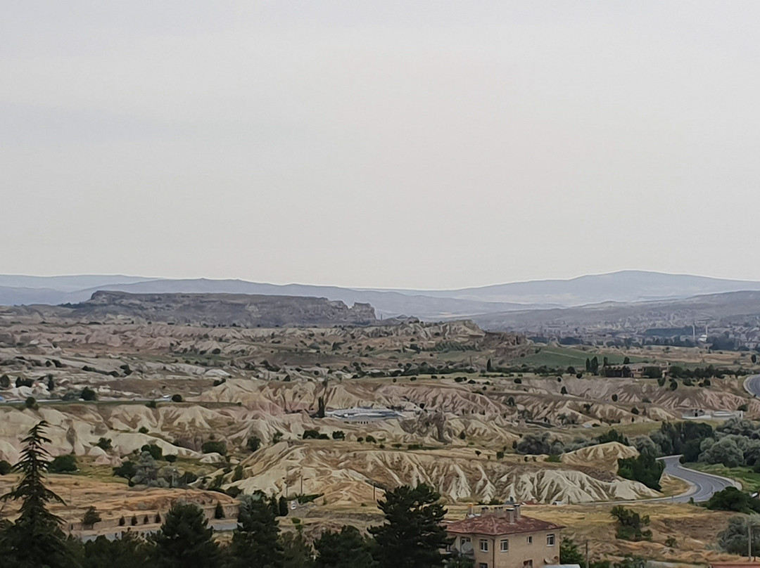 Magic Cave House主图