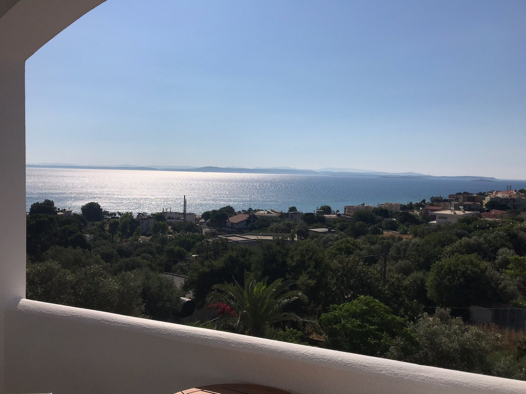 Melia Sol Art Studios主图