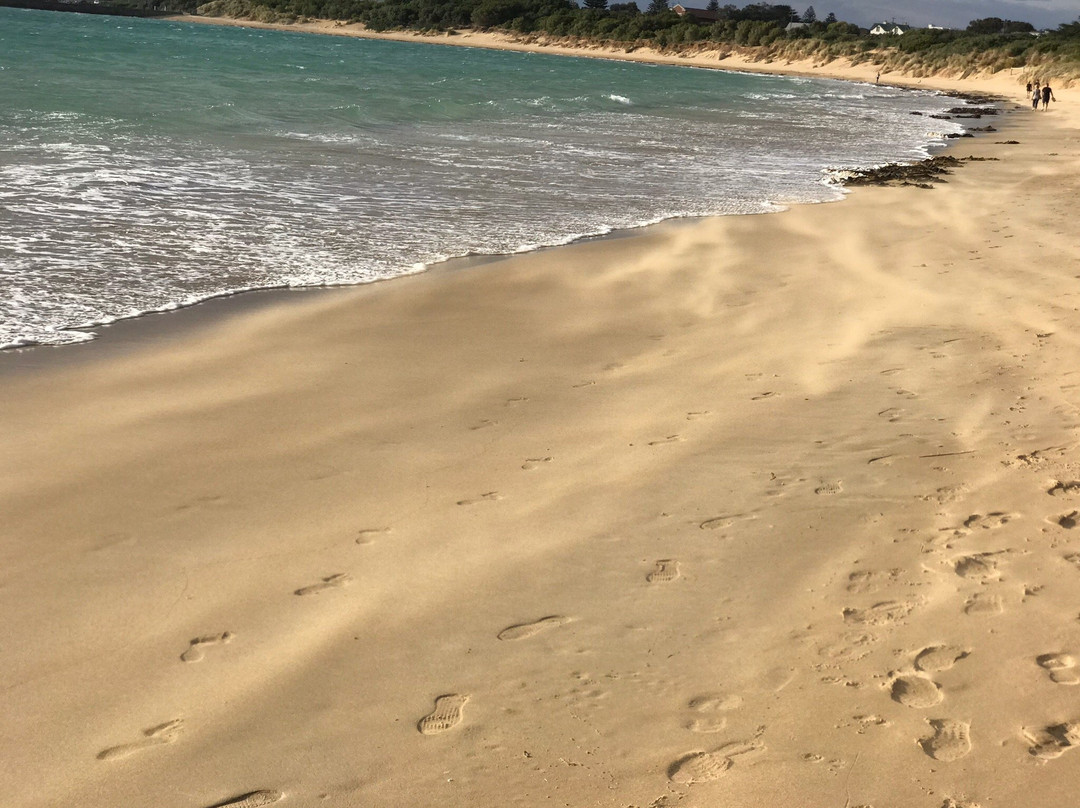 海边比奇斯酒店主图