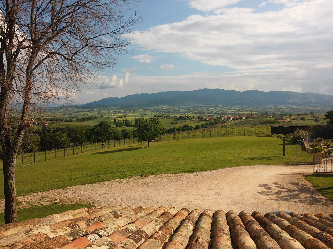 B&B Casa Laura主图