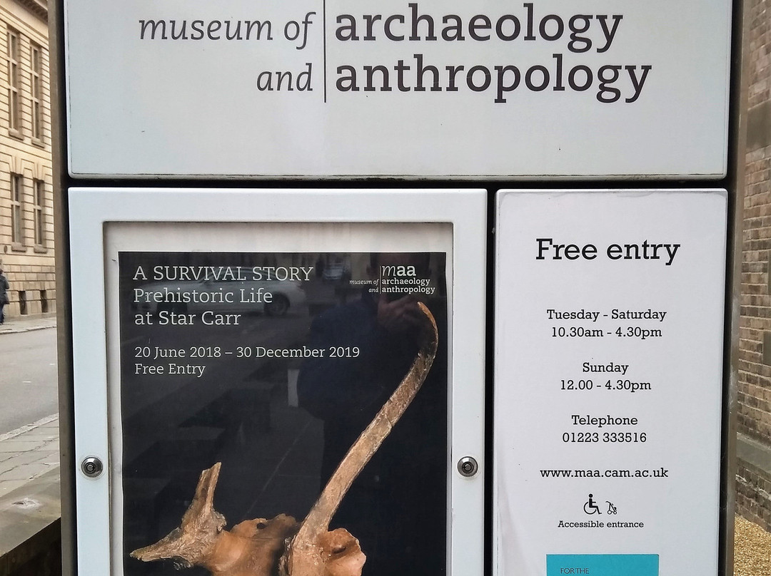 Museum of Archaeology and Anthropology景点图片