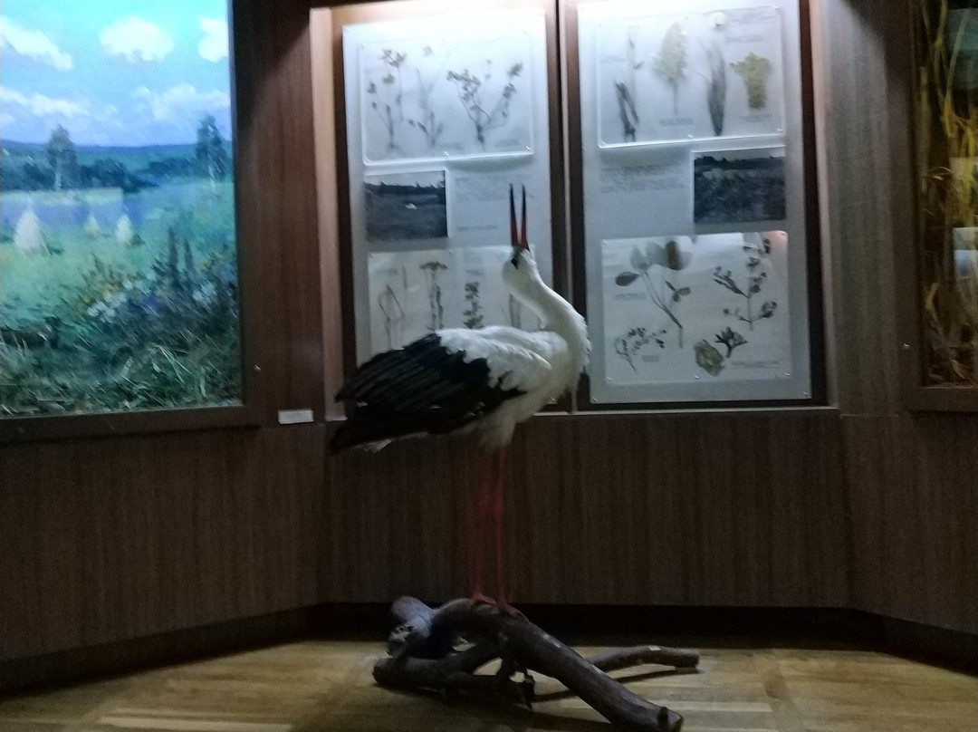 Baranovichi旅游景点-Local Lore Museum