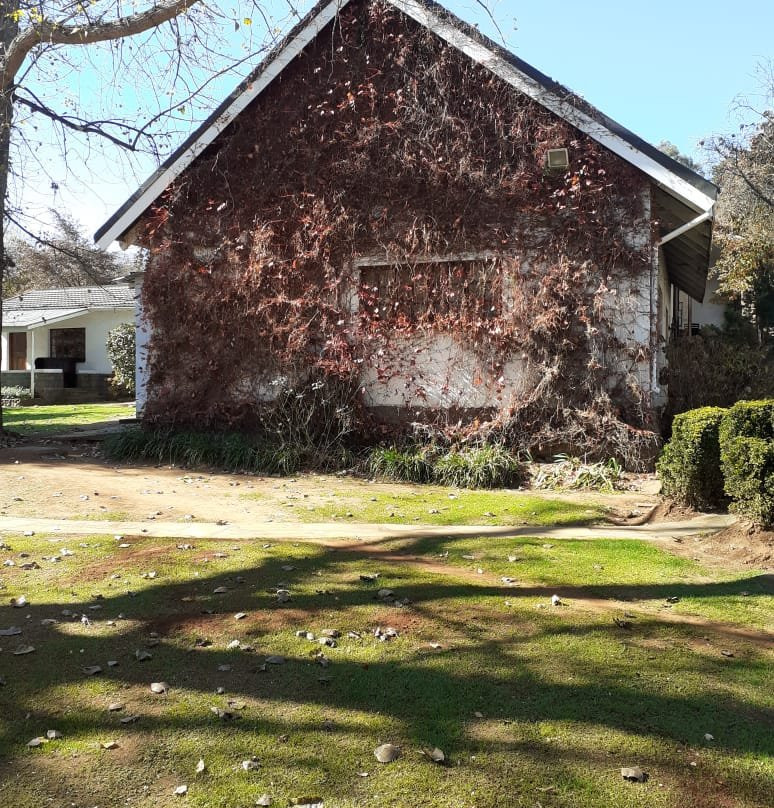 Himeville Arms主图