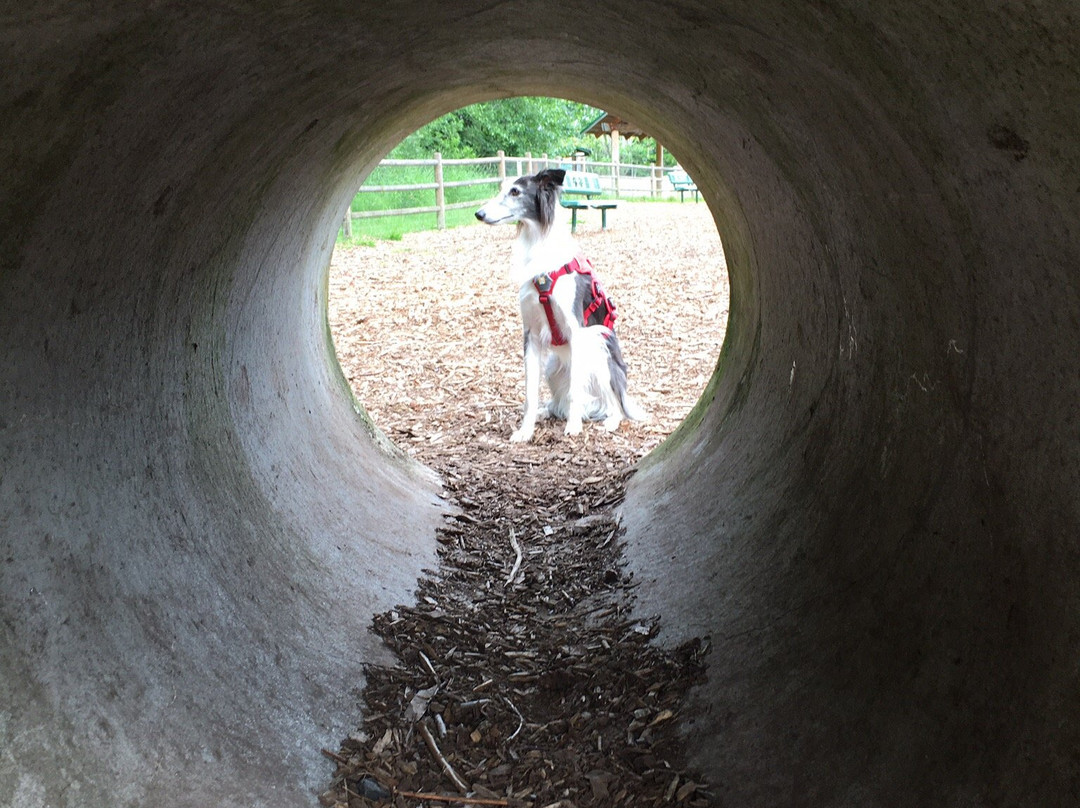 Trails and Tails Dog Park景点图片