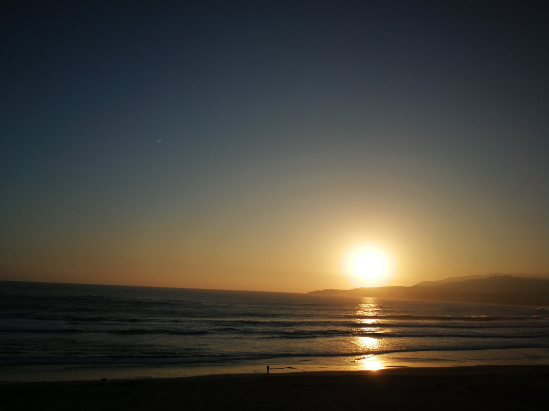 Hotel Meflo Playa Grande主图