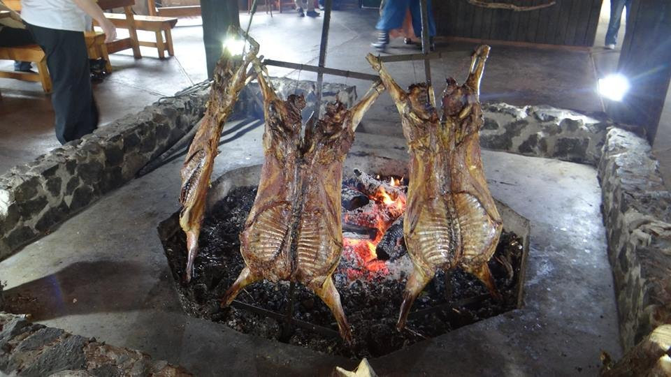 Hotel Loberias del Sur主图