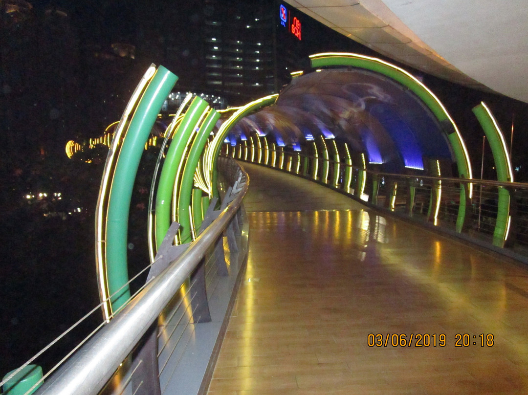 Eco Skywalk景点图片