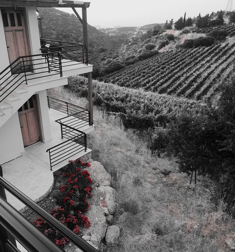 Gillham Vineyard Hotel主图