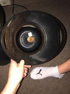 落基山哈特福德万豪酒店主图