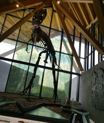 Philip J. Currie Dinosaur Museum-Wembley必去景点