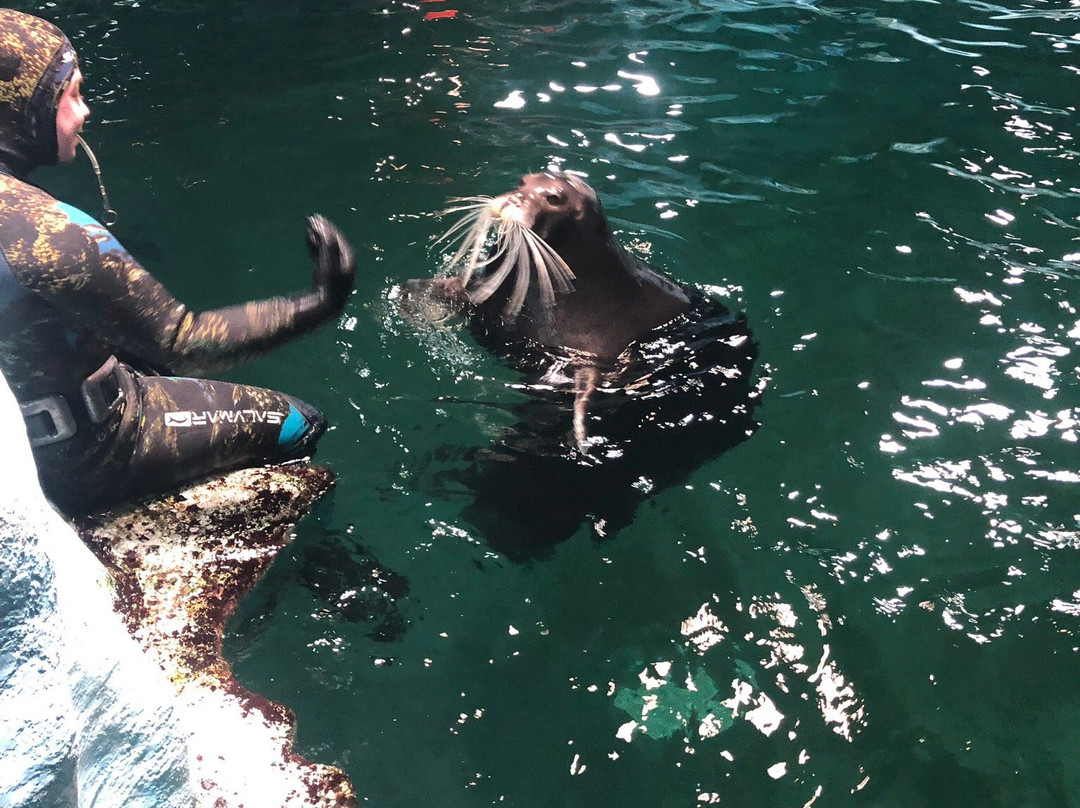 北极星水族馆景点图片