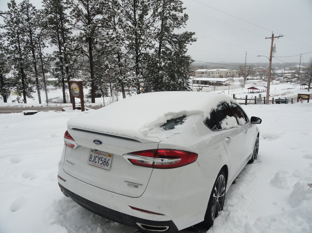 Shady Rest Motel主图