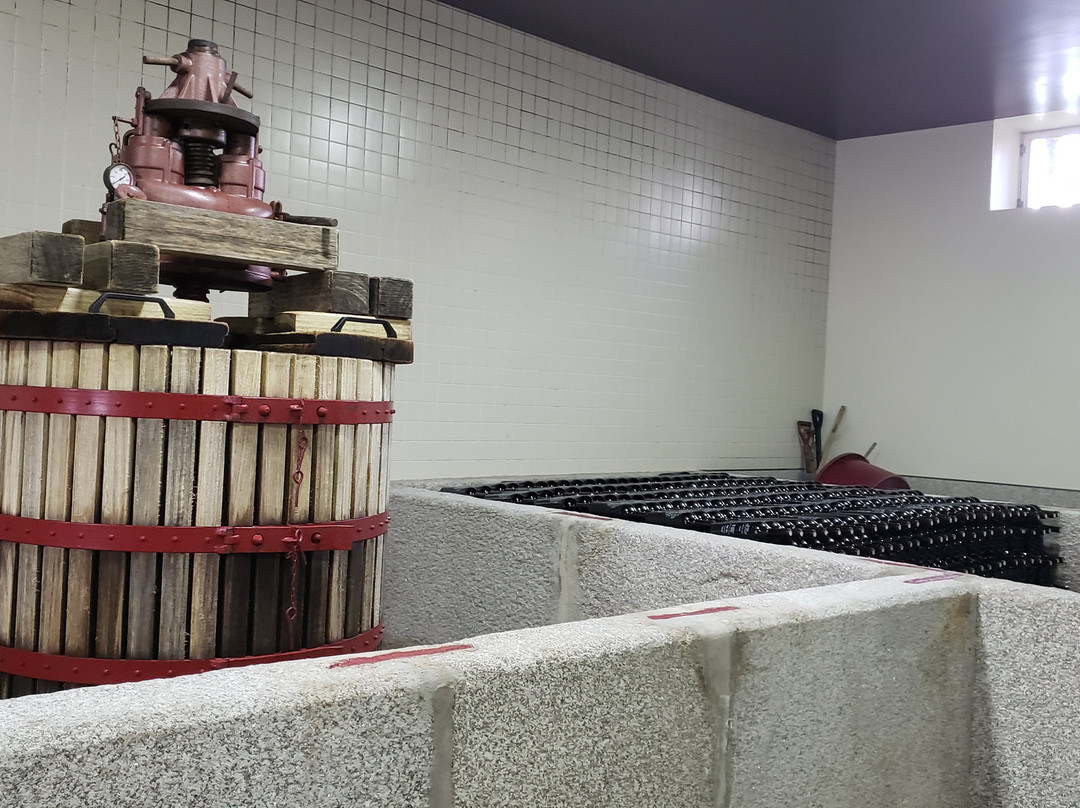 Quinta de Tourais主图