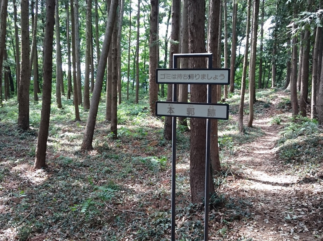 The Site of Aoyama Castle
