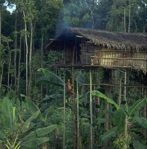 Penjara Bung Karno di Boven Digoel-Mandobo必去景点