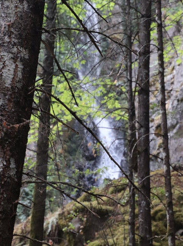 Hole-in-the-Wall Falls-Cascade Locks必去景点