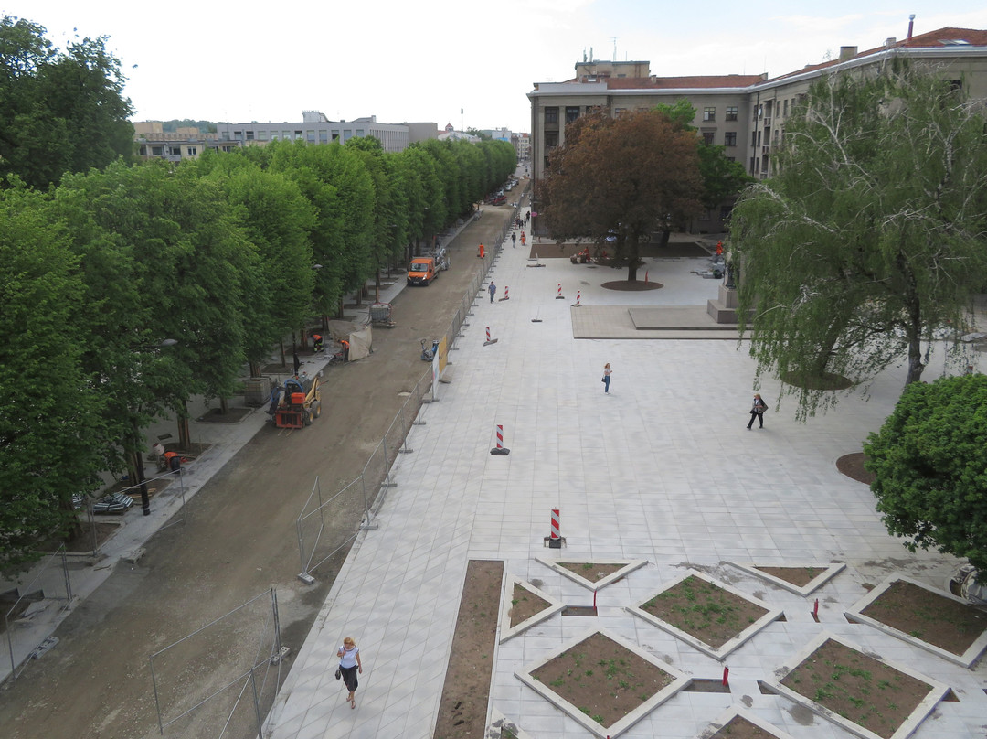 考纳斯城市酒店主图