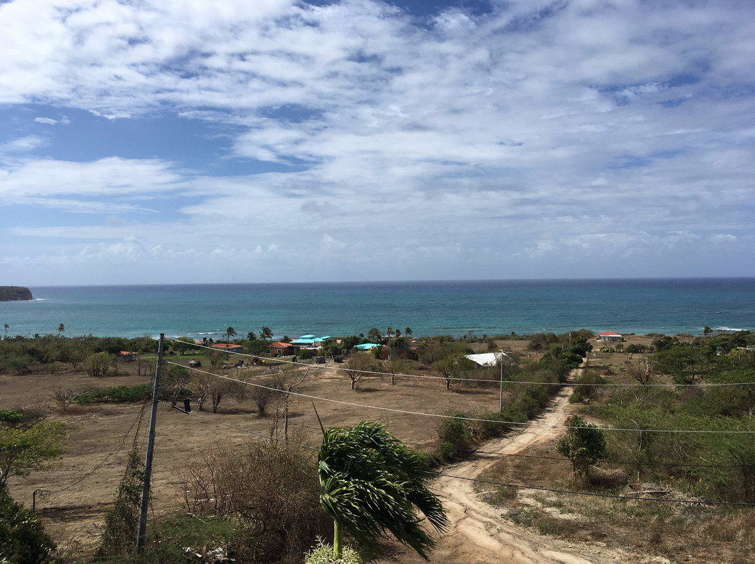 Hacienda Tamarindo主图
