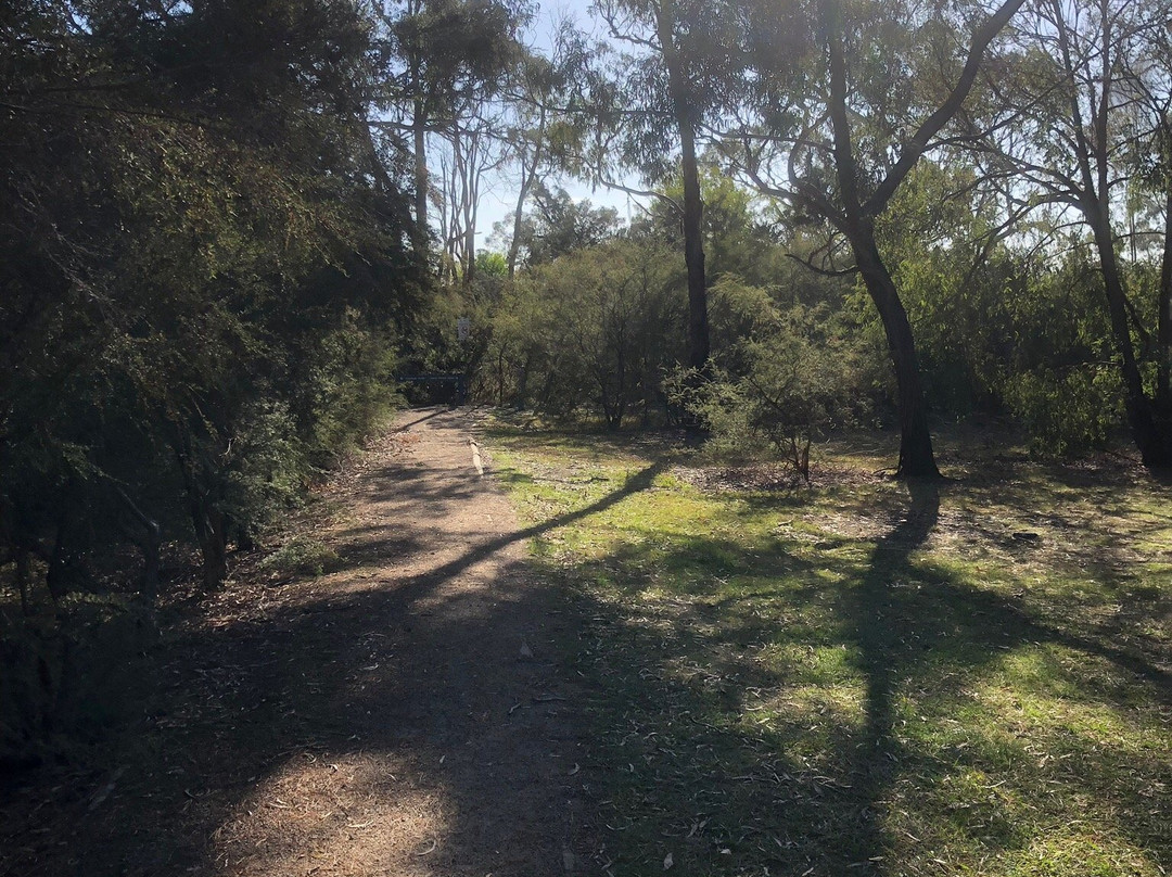 Jacks Beach Reserve景点图片