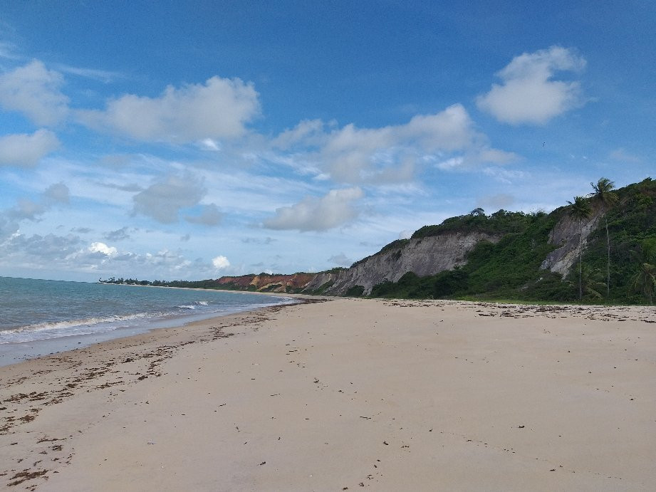 Pitimbu Beach景点图片