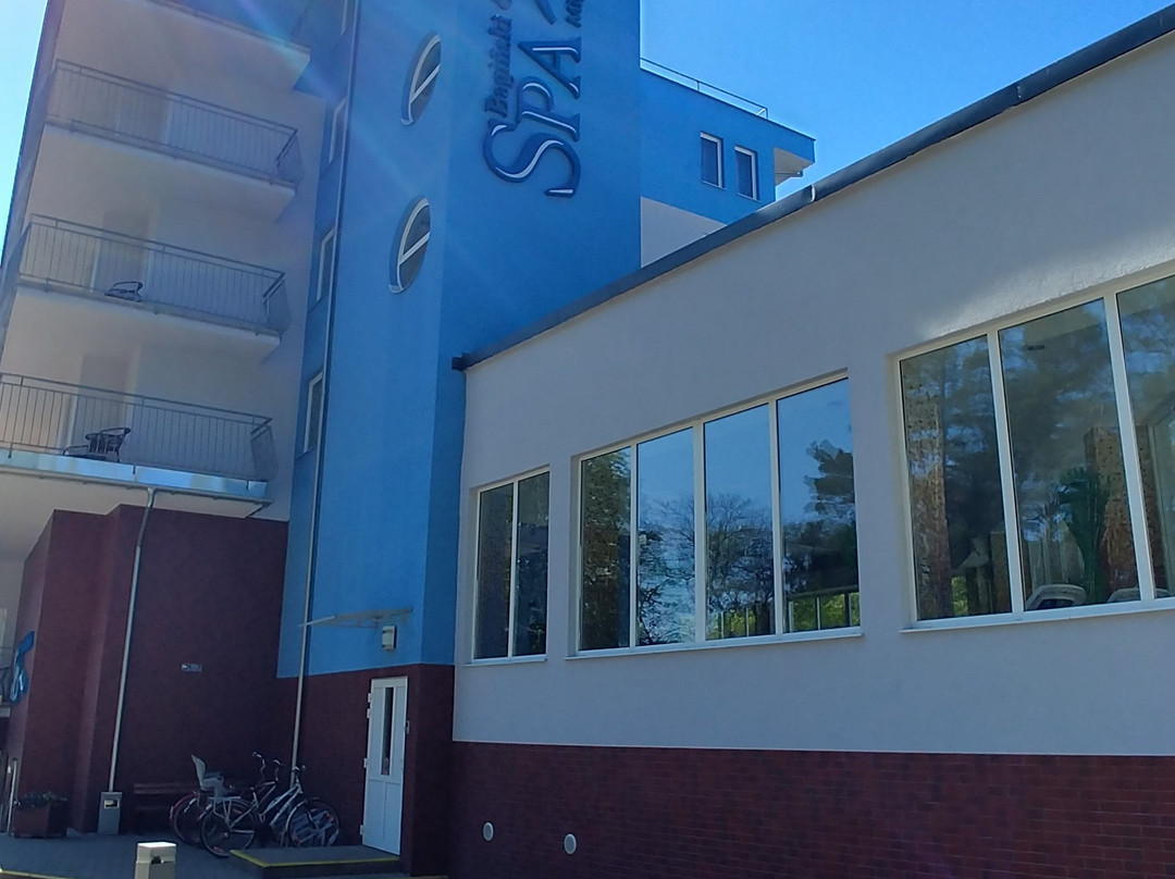 Baginski & Chabinka SPA主图