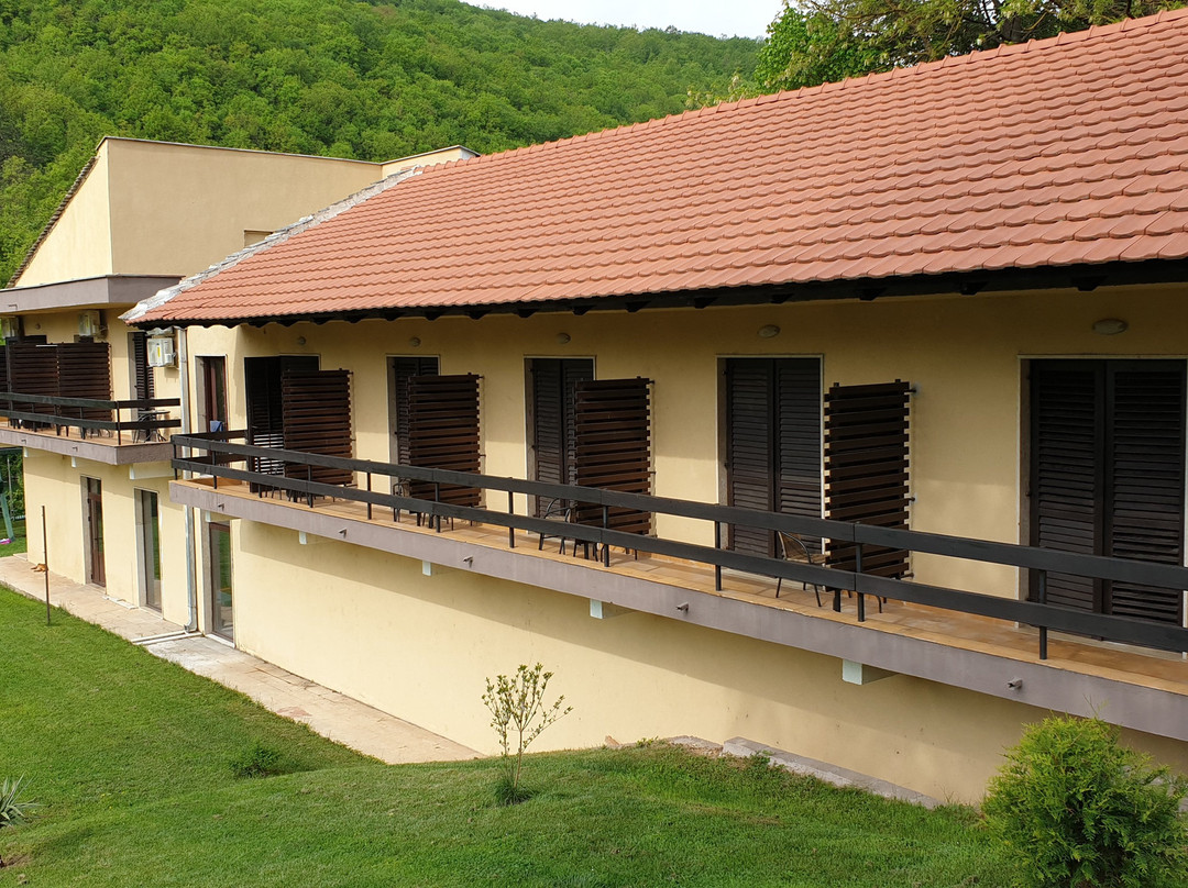 Jazina Club 1972主图