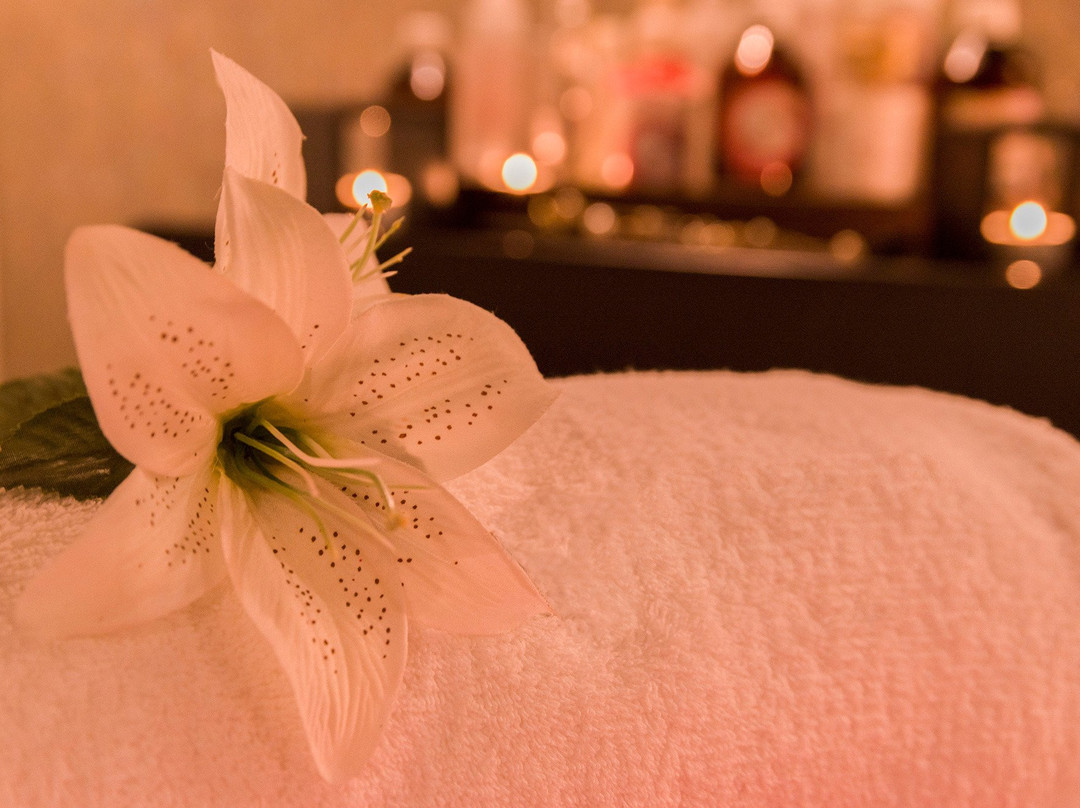 Can Bonastre Wine Resort主图