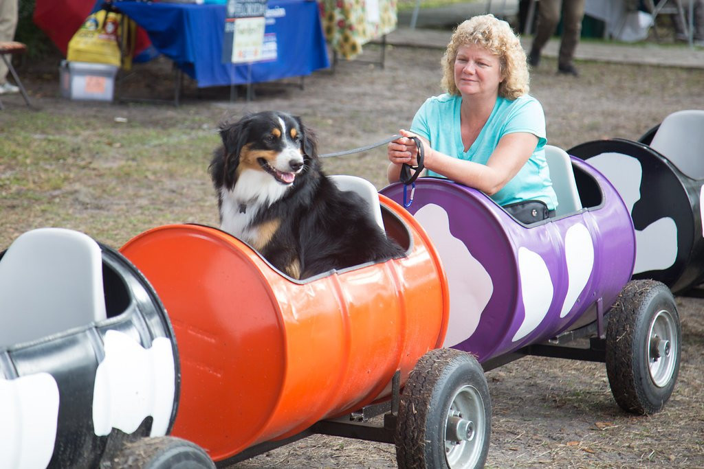 Orange Park Farmers' & Arts Market-橙园必去景点