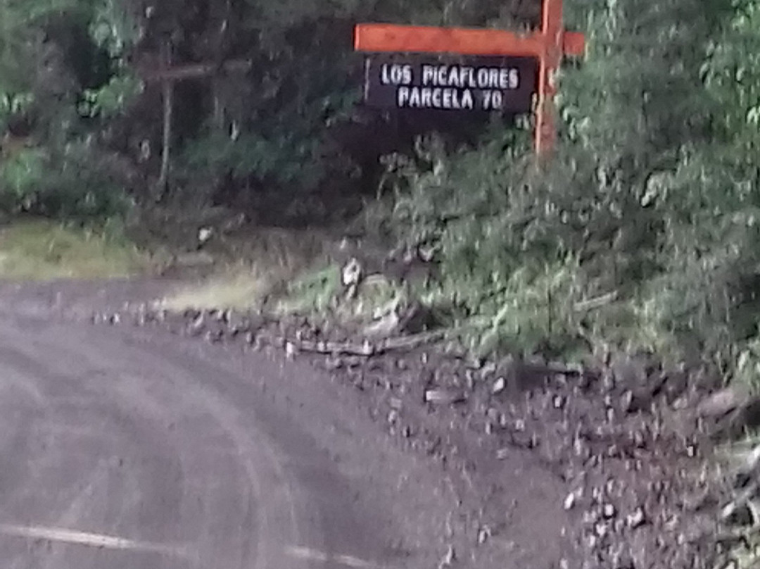 Cabanas El Picaflor