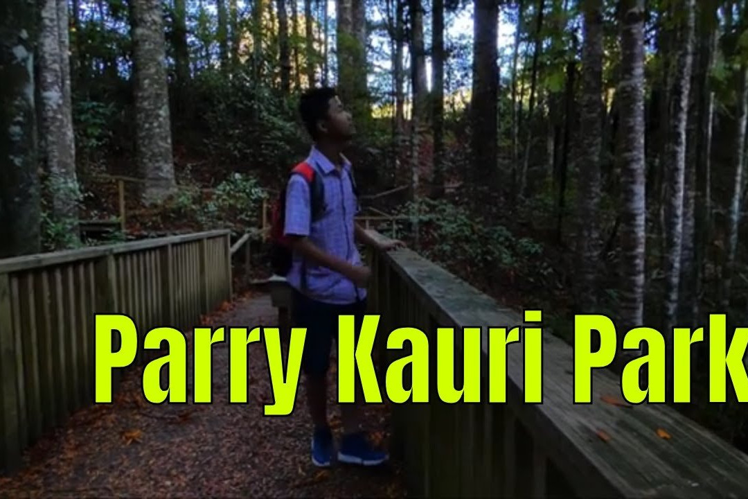 Parry Kauri Park景点图片