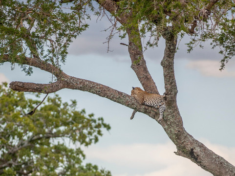 Tanzania Globe Tour Company