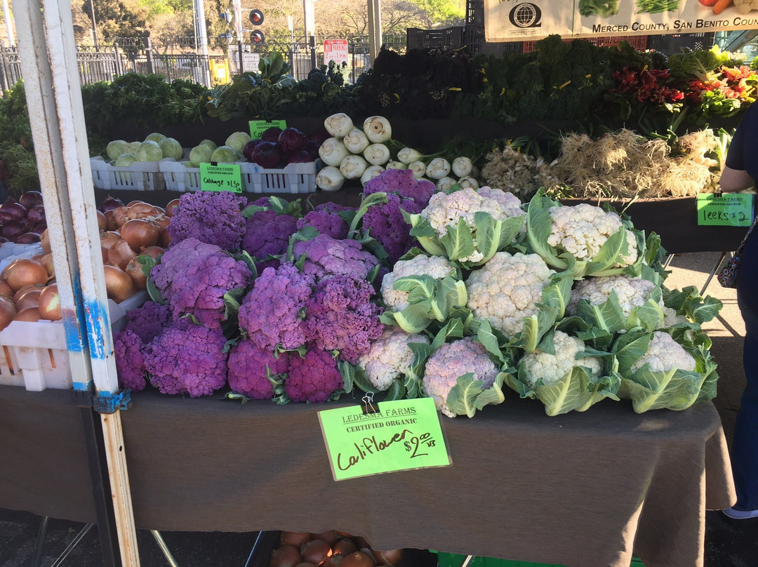 Mountain View Farmers Market-山景城必去景点