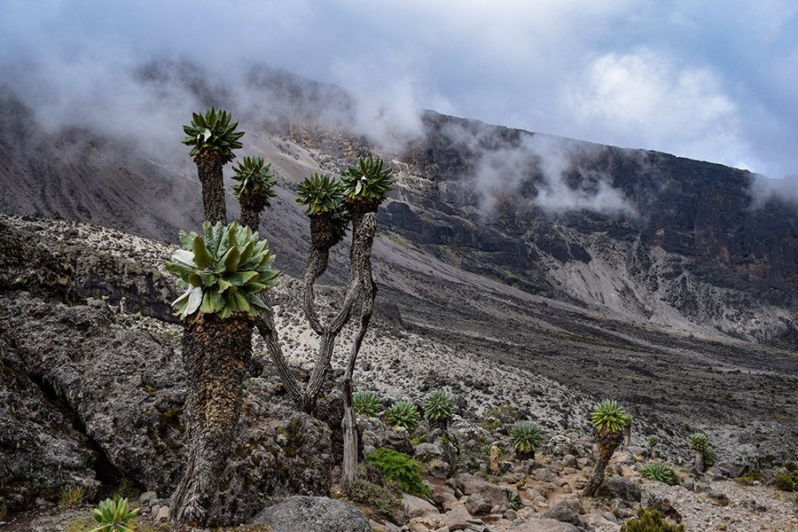 Peak Planet-莫西必去景点