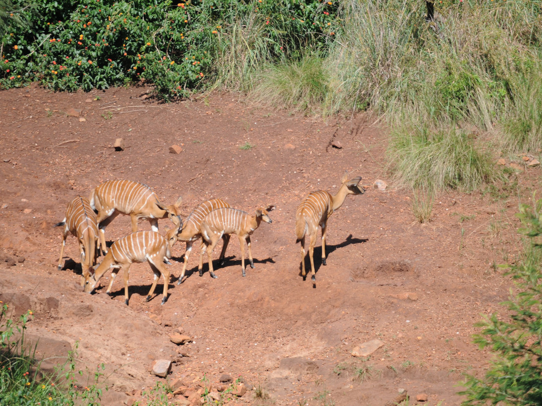 Koubad Farm Lodge主图