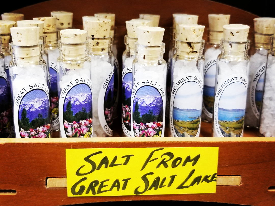 Beehive State Souvenirs-盐湖城必去景点