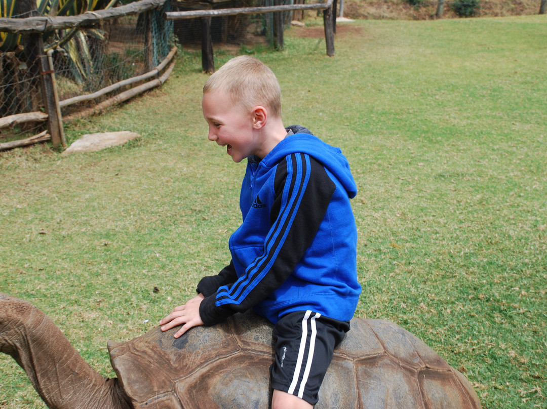 费尔蒙特山肯尼亚野生动物园俱乐部酒店主图