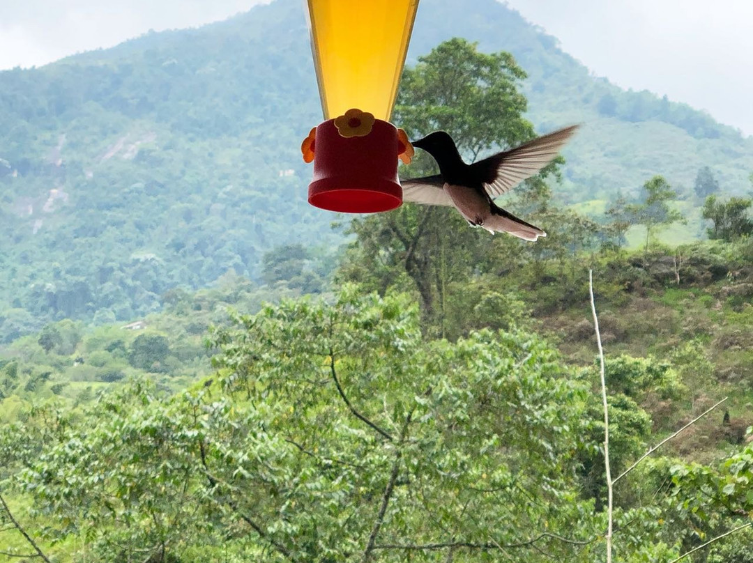 El Nilo Pance-Pance必去景点