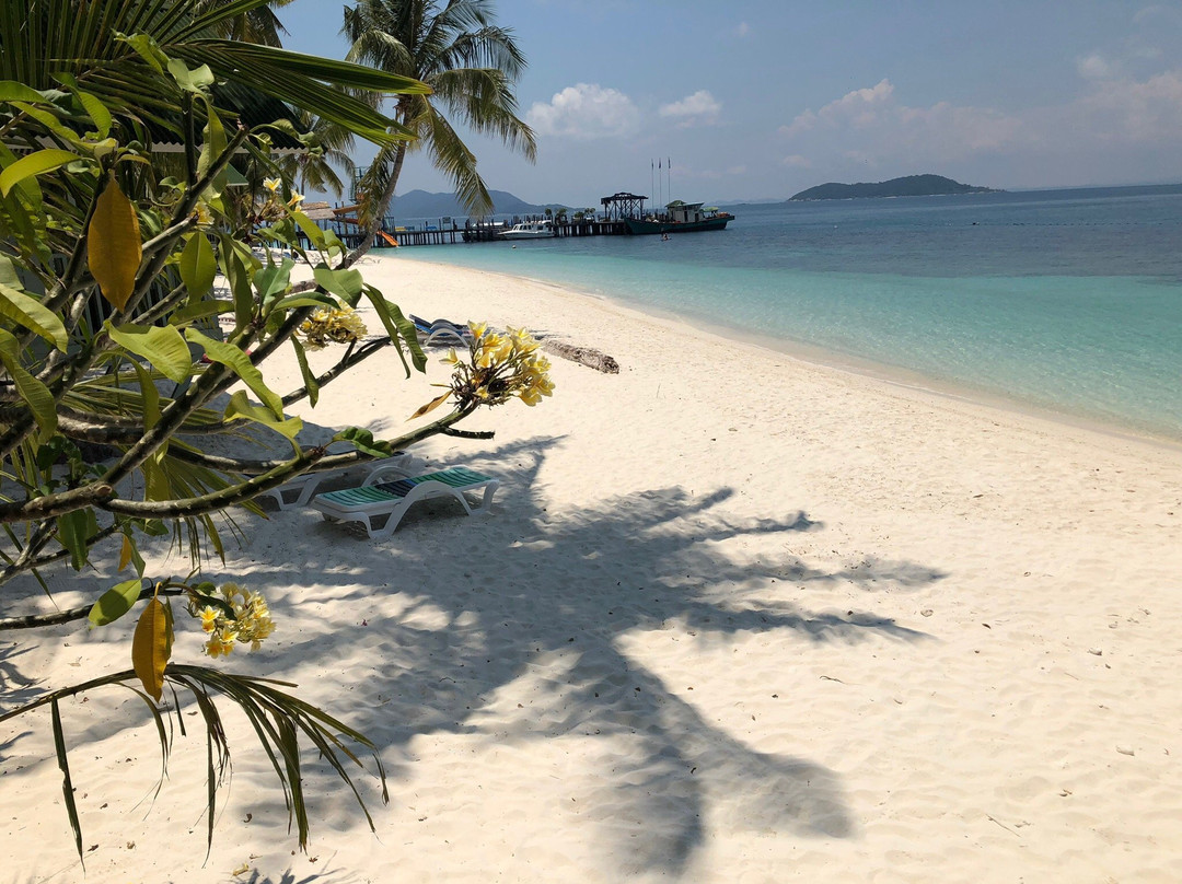 OrcaNation Singapore-新加坡必去景点