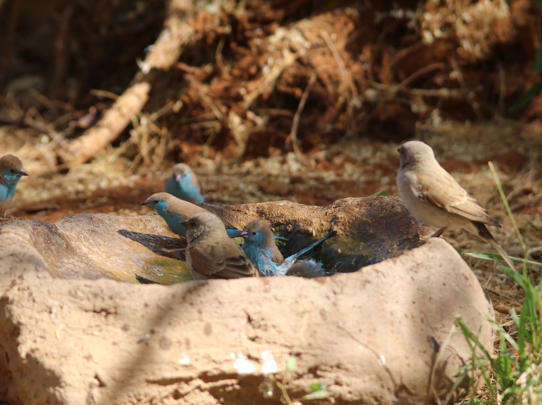 Random Harvest Country Cottages主图