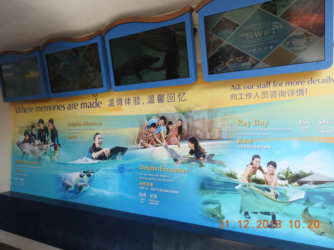 海豚岛-圣淘沙岛必去景点